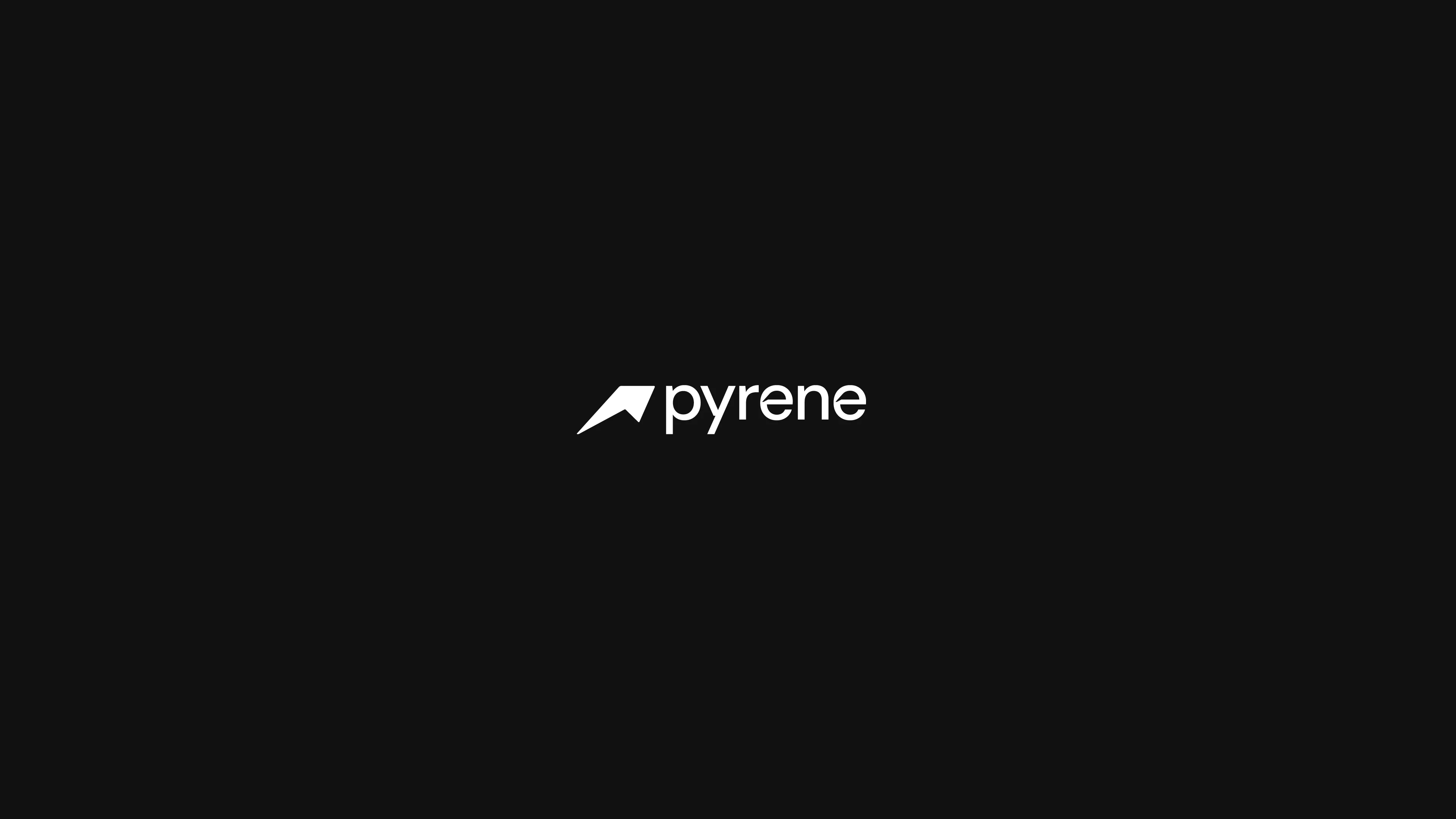 Pyrene® visuel final — vue d'ensemble du système d'identité